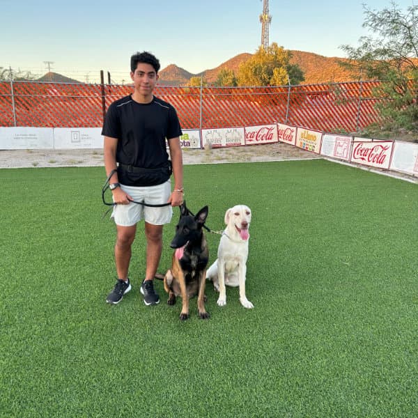 Perro aprendiendo obediencia básica